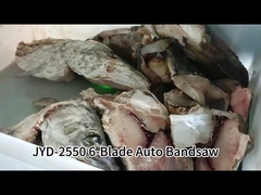 6-ब्लेड ऑटो वर्टिकल बैंडसॉ मशीन टच स्क्रीन नियंत्रण के साथ जमे हुए मछली को काटती है
