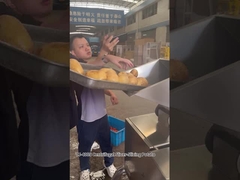 12 कटिंग स्टेशन सेंट्रीफ्यूगल आलू चिप्स स्लाइस कटिंग मशीन उत्कृष्ट परिणाम के साथ