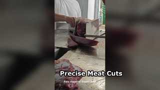 मीट बैंडसॉ प्रिसिजन कटिंग JY 420